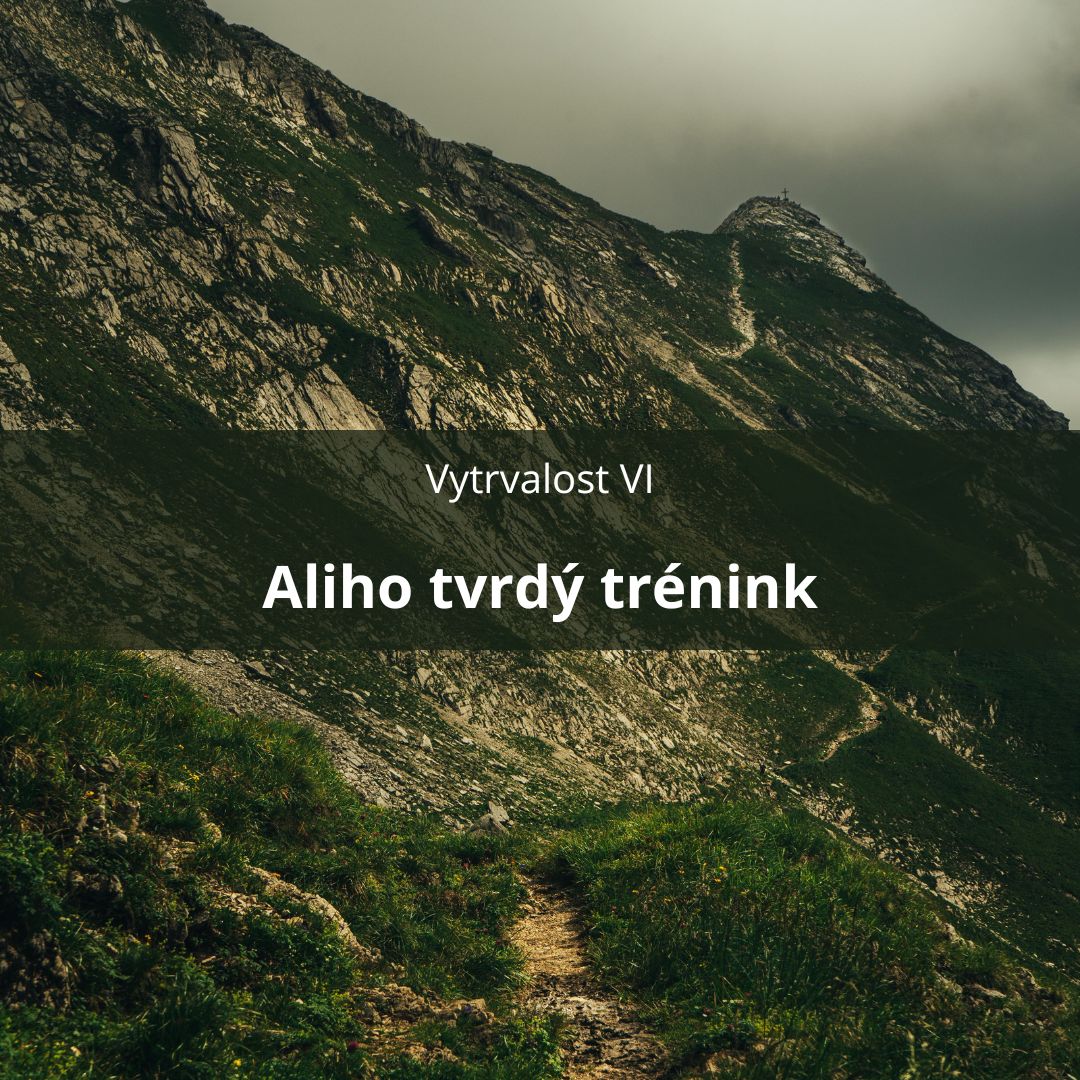 64 – Vytrvalost VI – Aliho tvrdý trénink episode artwork
